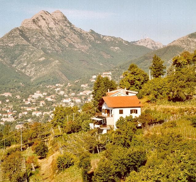 Agritourisme Il Castagno - Foto 2