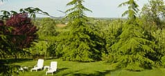 Locanda Camera Con Vista - Foto 3