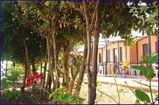 Spina Camping Village - Foto 3