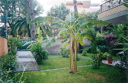 Privatzimmer – Il Giardino di Giulia 2 - Foto 3