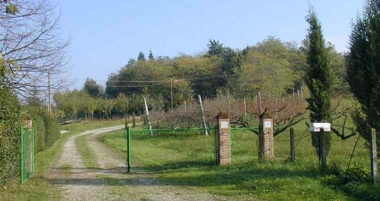 B&B Cricona - Foto 2