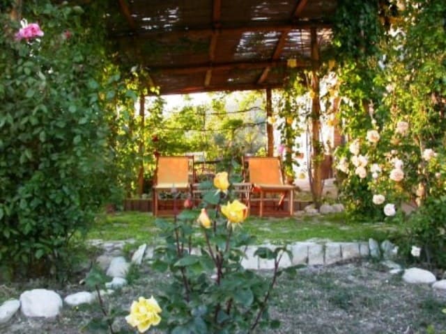 B&B Vento Di Rose - Foto 4