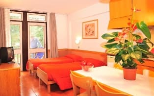 2-Zimmer-Wohnung – Borca di Cadore - Foto 4