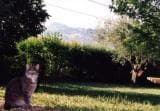 Private Room – La Lavanda - Foto 3