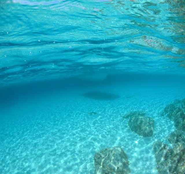 Blu Dive Center - Foto 2