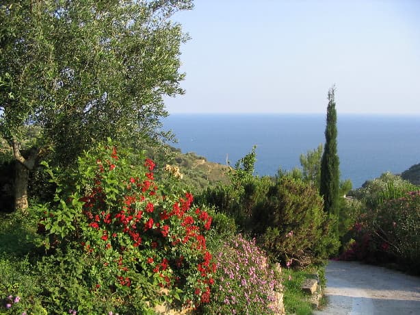 Farmhouse Uliveto Saglietto - Foto 3