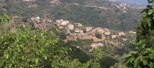 Appartement 2 pièces – Case Vacanza Sicilia Messina - S.agata M - S. Agata Militello (ME) - Photo 5