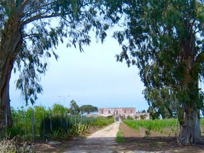 Masseria Mazzetta - Foto 2