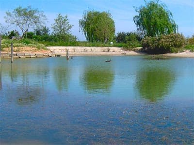 Masseria Mazzetta - Foto 3