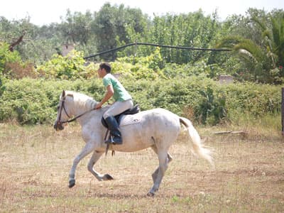 Bauernhof La Fortuna - Foto 4