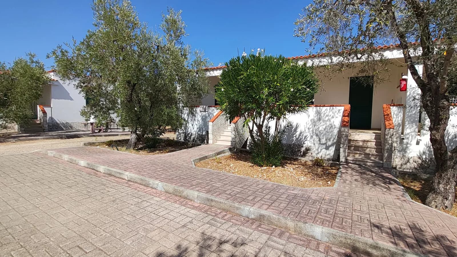 Vieste Tenuta Montincello Gargano - Vieste (FG) - Foto 4
