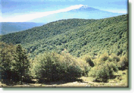B&B Vacanze In Sicilia - Bici E Trekking - Foto 3
