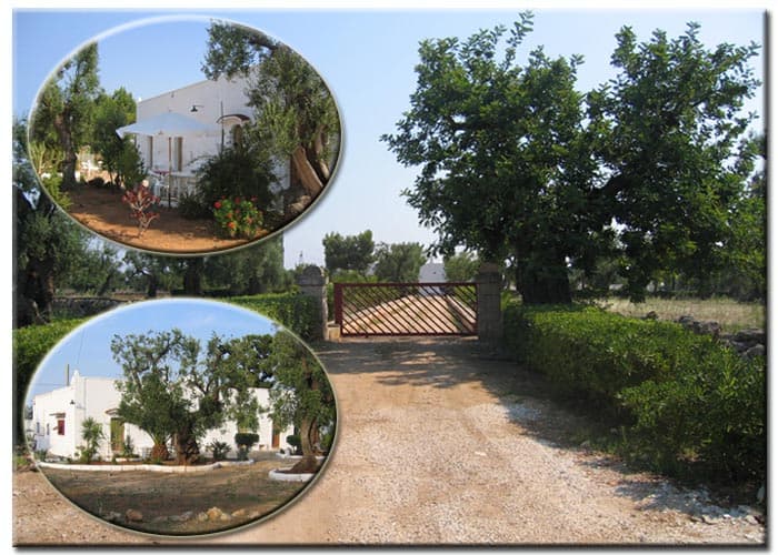 Masseria Carbonara - Bed & Breakfast a Fasano