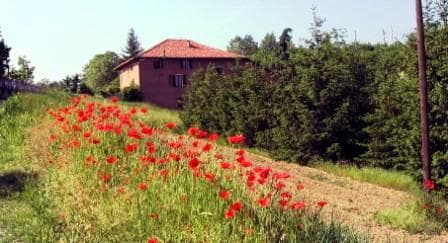 Habitación privada – Cascina Bella Vista - Foto 4