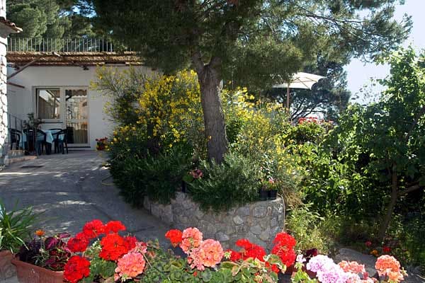 Private Room – Alle Ginestre Capri B&B - Foto 3