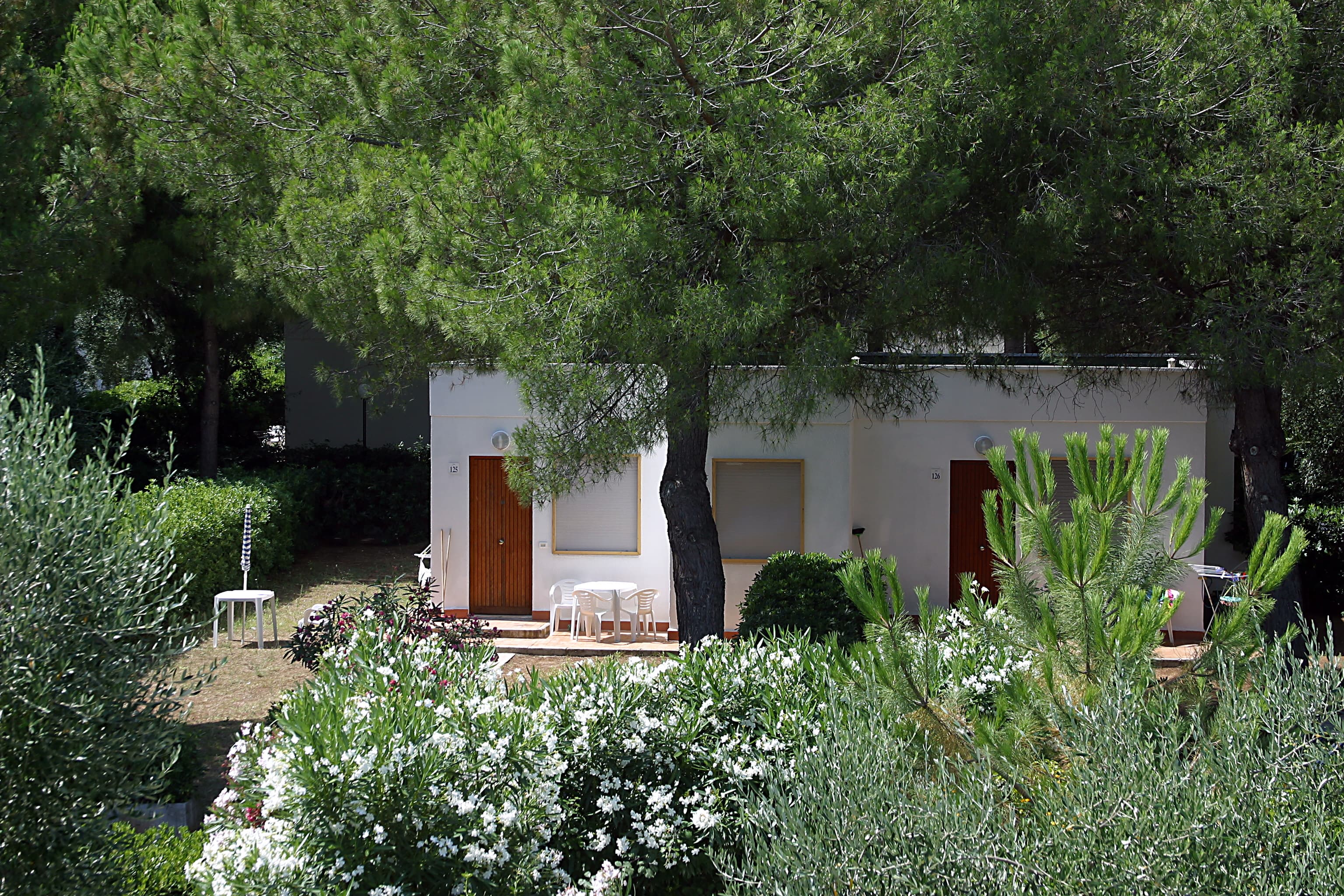Peschici - Residence Mira - Foto 2