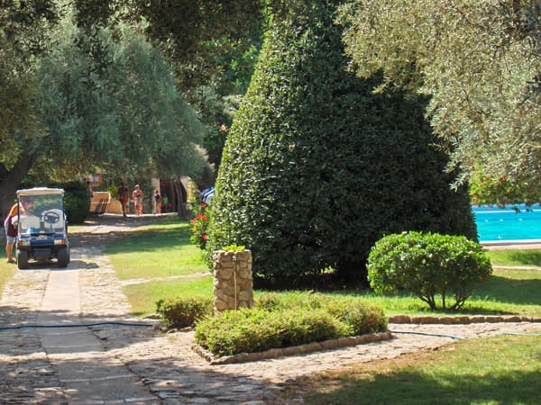 Apartamento de 2 piezas para 2 personas – Villaggio L'Olivara - Foto 3