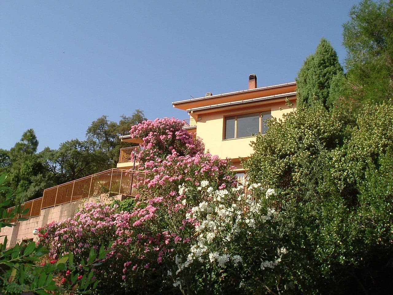 Villa Patrizia B&B Sul Lago - Foto 2