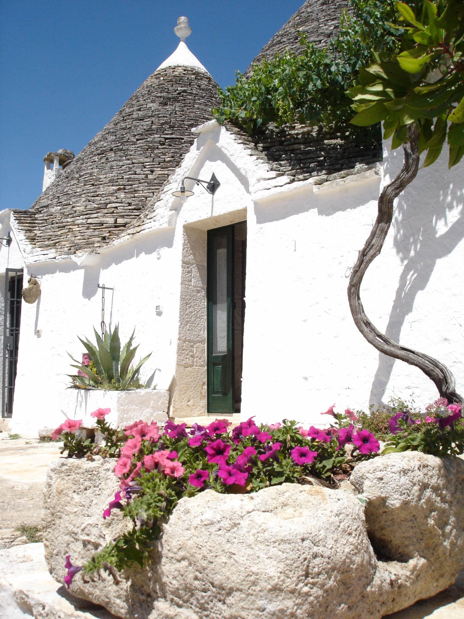 Relais Masseria Rosa - Foto 2