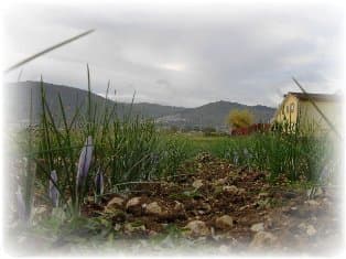 Apartamento de 2 piezas – "I Sapori Della Terra" - Foto 3
