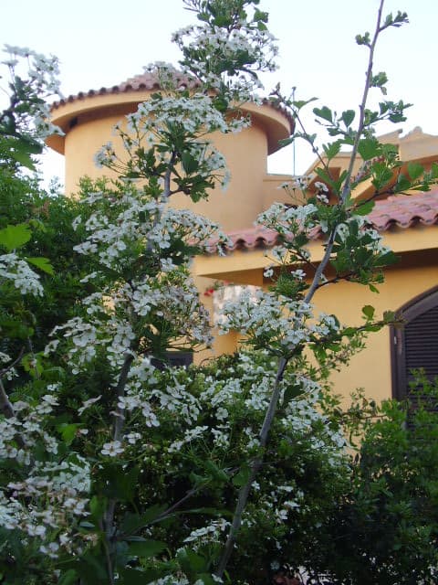 Myrsine Bed & Breakfast - Capoterra (CA) - Foto 3