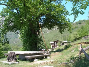 Agritourisme "rifugio Pra 'd Mill" - Foto 3