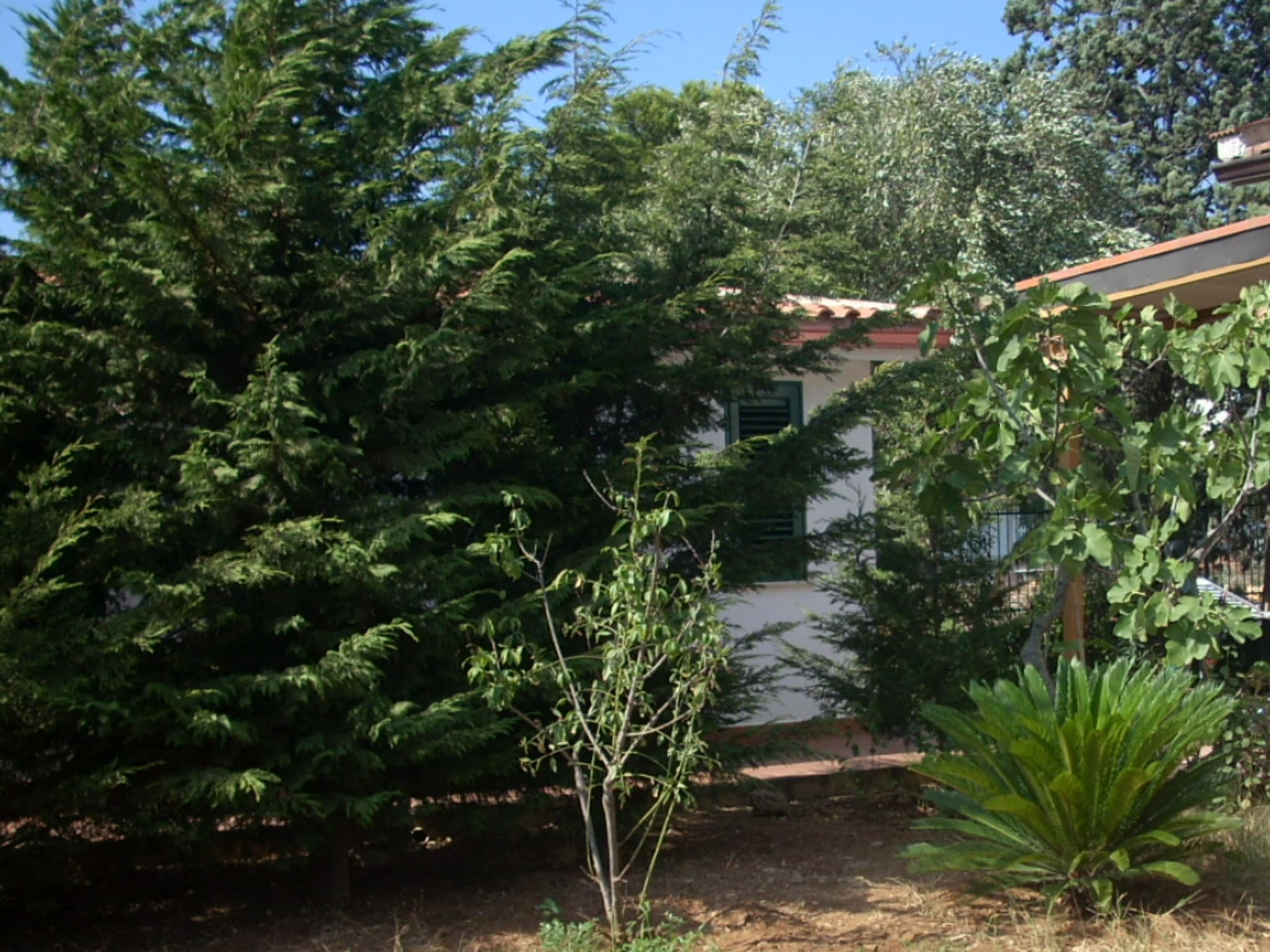2-Room Apartment – Luna D'argento - Foto 4