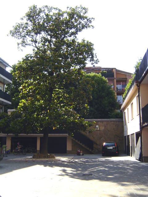 Residenza La Specola - Foto 3