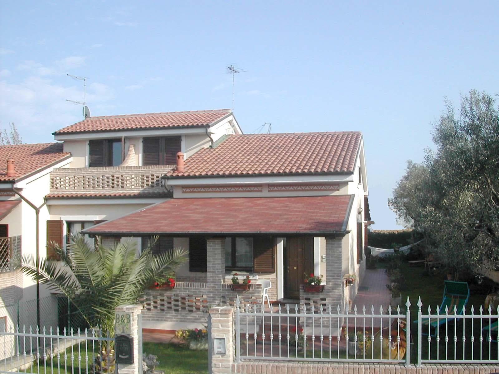 L'olivo - Foto 2