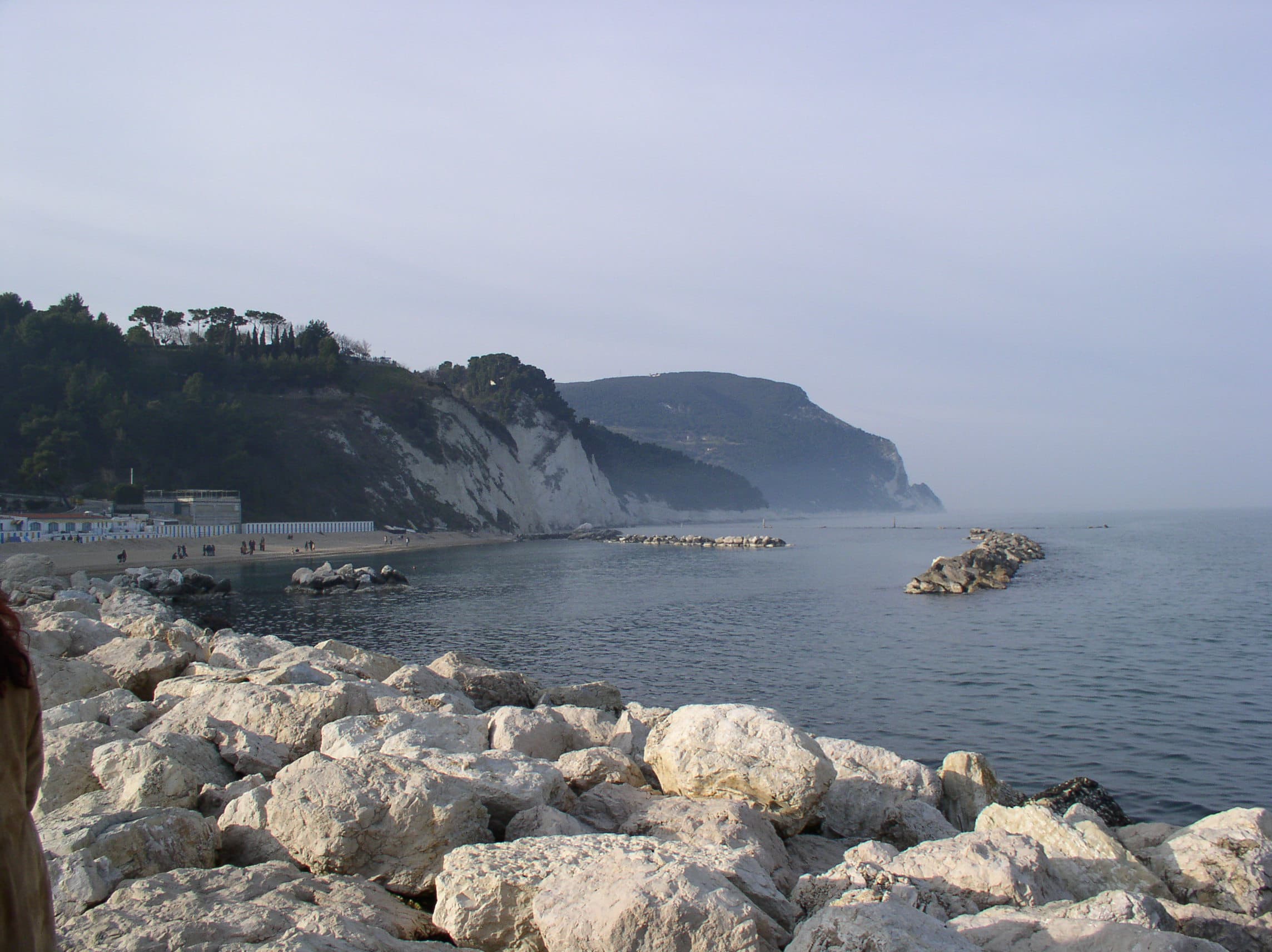 L'olivo - Foto 3