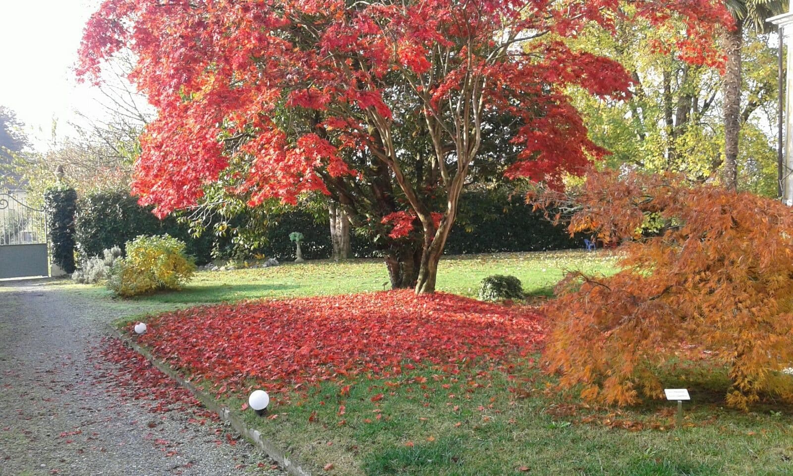 Villa D'azeglio - Ivrea (TO) - Foto 2