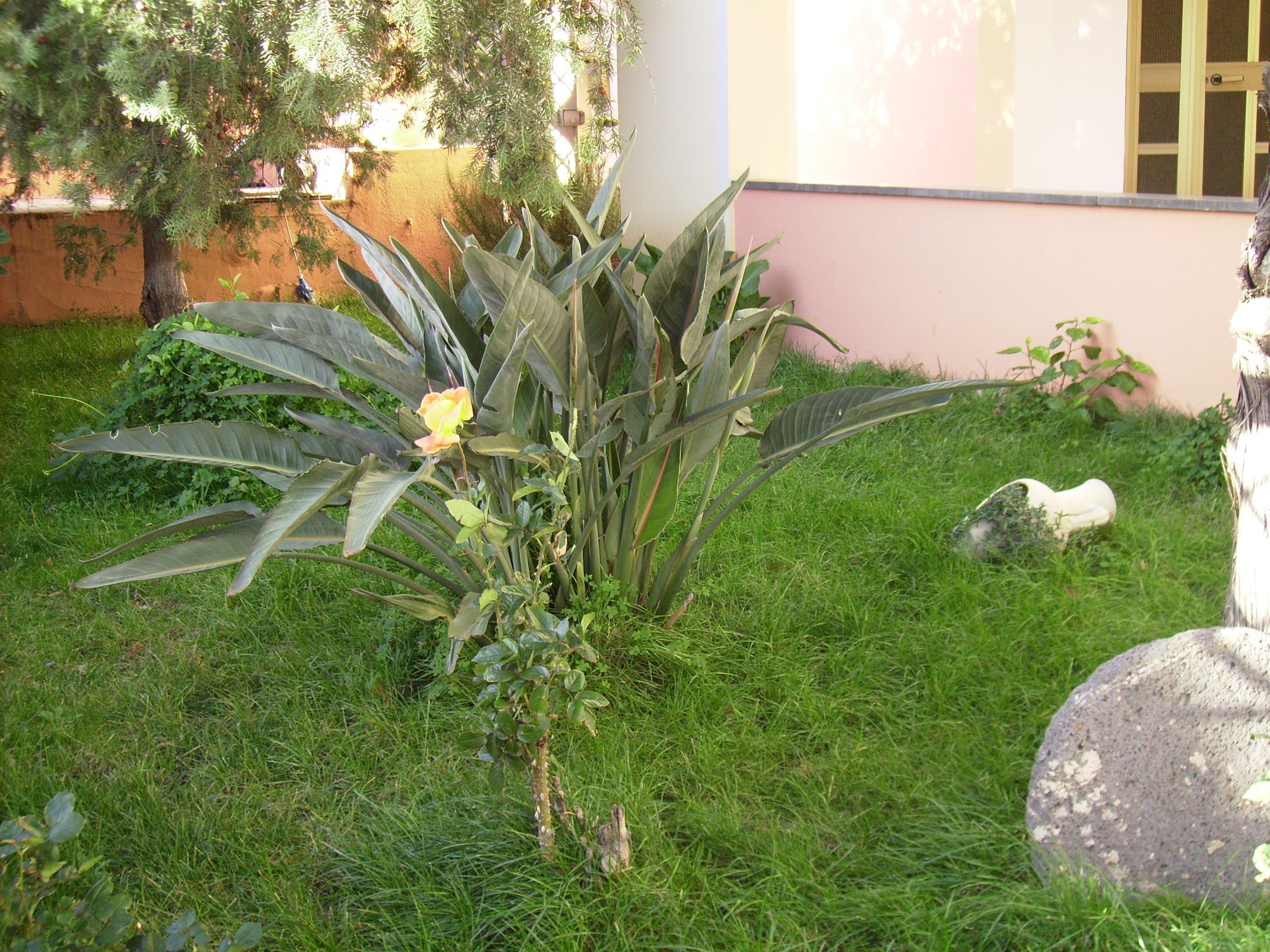 B&B " Da Giovanna" - Foto 3