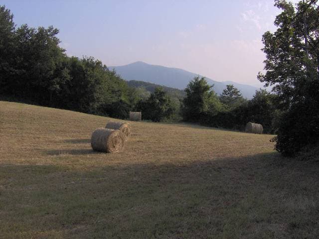 B&B Al 211 - Foto 2