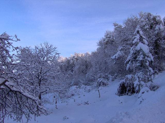 B&B Al 211 - Foto 4