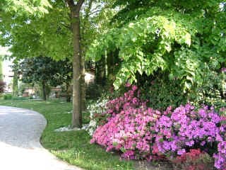 Chambre privée – La Villa degli Ulivi - Foto 3