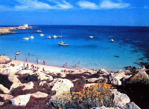 Apartamento de 2 piezas – Favignana Residence - Foto 4