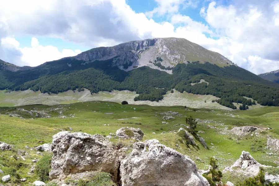 Del Carretto Bed And Breakfast - Soverato (CZ) - Foto 4