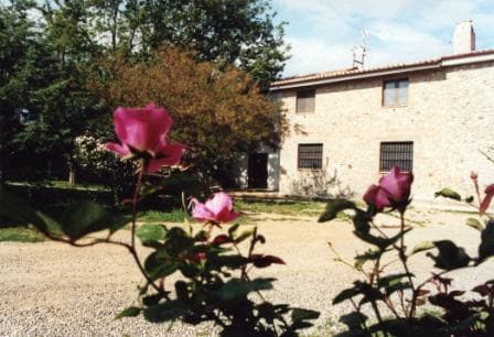 Al Vecchio Biroccio Da Giorgio - Foto 2