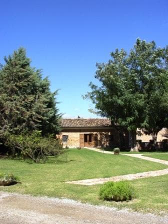 Al Vecchio Biroccio Da Giorgio - Foto 3