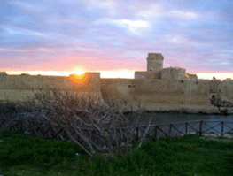 Bauernhof Torre del Golfo - Foto 4