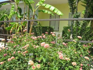 Residencia Heaven - Foto 2