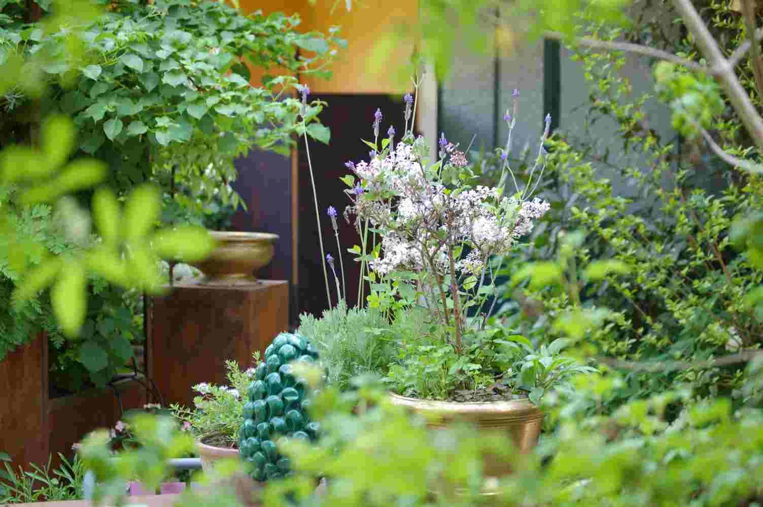 B&b binot - Foto 2