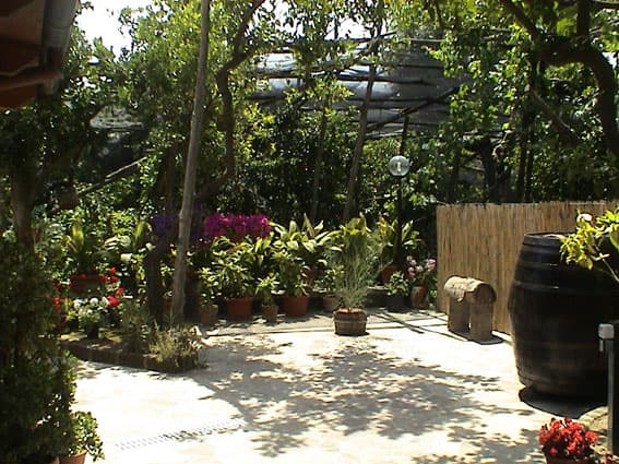 Apartamento de 2 piezas – Camelia - Foto 3