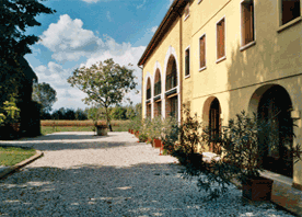 Granja Grimana - Foto 3
