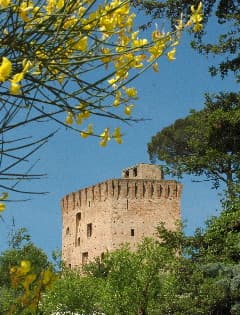 Bauernhof E Cantina La Sabbiona - Foto 4