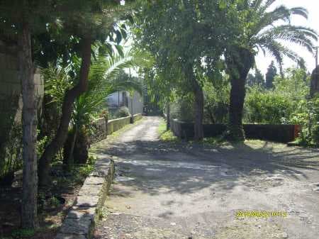 Privatzimmer – LA FIORIERA DELL'ETNA *** - Foto 3
