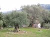 Agriturismo I Cedri - Foto 4