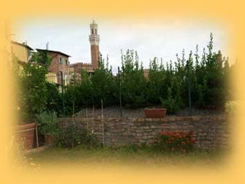 Privatzimmer – Centro Lorenzini Rooms - Foto 4