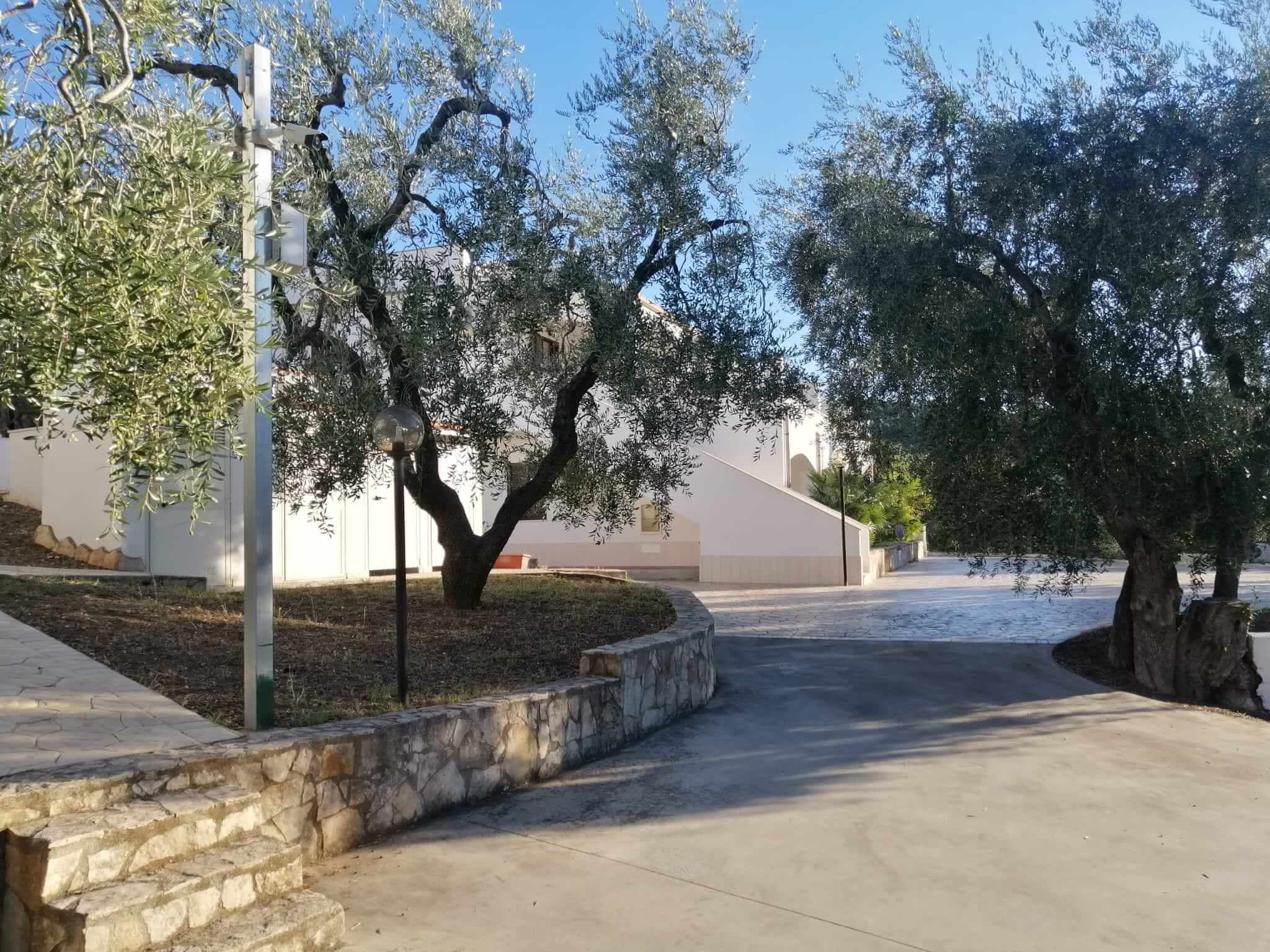 Estudio para 2 personas - Vieste (FG) - Foto 3