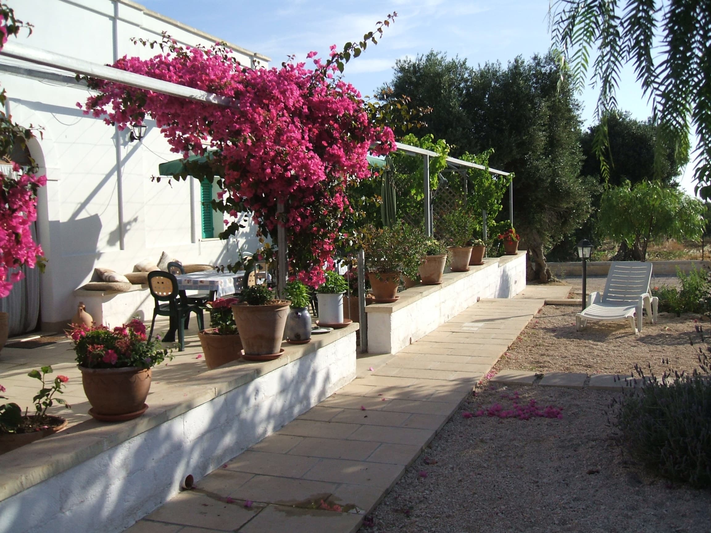 Masseria Casa Nostra - Foto 2